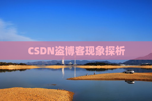 CSDN盗博客现象探析 CSDN盗博客现象探析